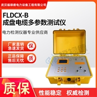 FLDCX-B成盘电缆多参数测试仪