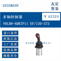 GESSMANN V8LB9-6DKTP11 EP/130-373 多轴控制器