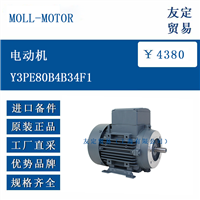 MOLL-MOTOR Y3PE80B4B34F1 电动机