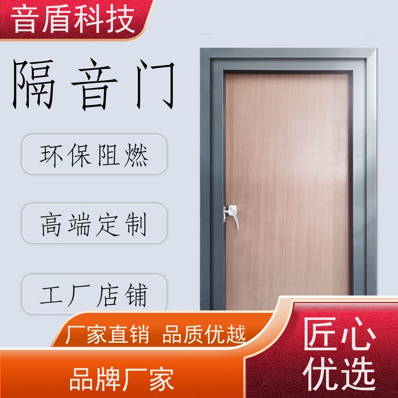 四川省 音盾 卧室隔音门 品质保证 大型定制工厂