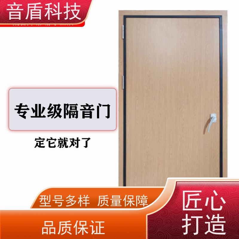 福建省 音盾 软包隔音门 品质保证 大型定制工厂