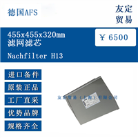 德国AFS Nachfilter H13 455x455x320mm滤网滤芯