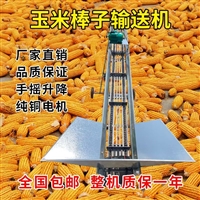 双链条玉米棒子输送机 传送带输送带家用玉米上棒机
