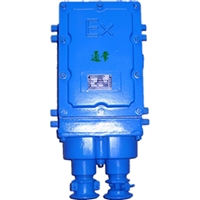 防爆开关电源 型号:WT83-GYK-DBK-24