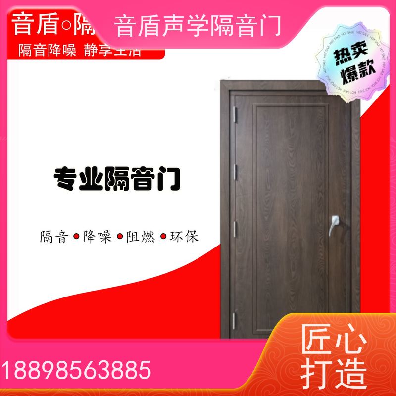 音盾 多年经验 演播室隔音门 品质保证 厂家批发