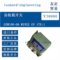 leonard-engineering GSW100-06 MINSZ GV 175:1 齿轮箱开关