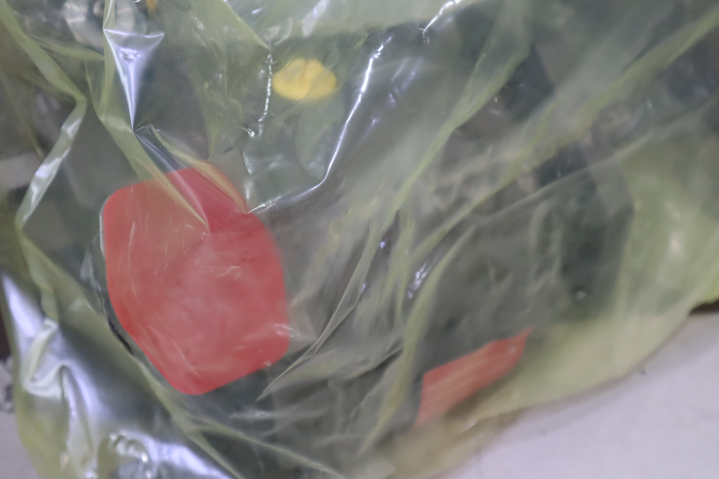 A A10VSO100DFR1/31R-VPA12N00 R910920847 力士乐REXROTH泵