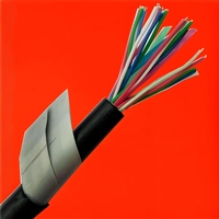 绝缘护套软铜接地线BVR-1*6黄绿接地线生产厂家