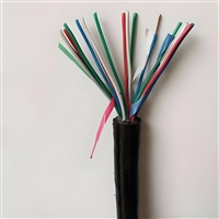 信号电缆PTY23-8芯生产厂家