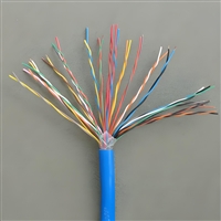 信号电缆PTYL23型12芯生产厂家