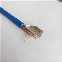 信号电缆PTYAH23-24芯生产厂家