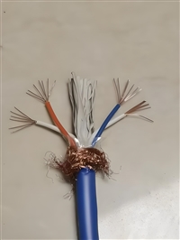 信号电缆PTYL23型48芯生产厂家