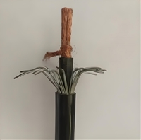 信号电缆PTYL23PTYLH23型37芯生产厂家