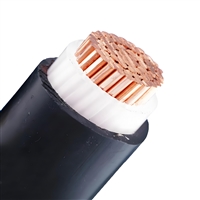 低烟无卤阻燃信号电缆WDZC-PTYL23型21芯生产厂家