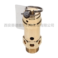 1092901314阿特拉斯空压机配件安全阀