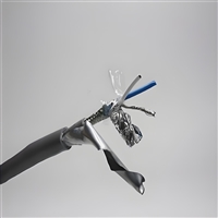 电力电缆WD-MYJY-0.6/1.0KV3*4+1*2.5生产厂家