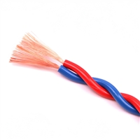 RS485通信电缆3*2*0.5mm2生产厂家