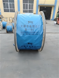 铜二芯多股绝缘导线截面WDZ-RYJS-2*2.5mm2生产厂家