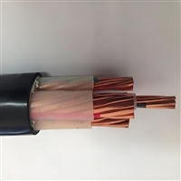 照明导线WDZC-BYJ-450/750V4mm2生产厂家