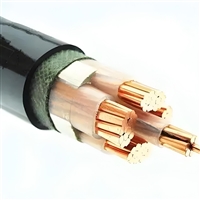 铜二芯多股绝缘导线截面WDZN-RYS-2*1.5mm2生产厂家