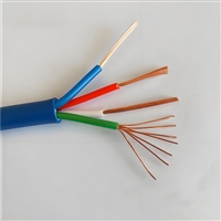 控制电缆ZBN-KVVP2-22-450/750-10*1.5生产厂家