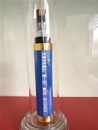 铜芯屏蔽控制电缆KVVP-450/750V-4*0.75生产厂家