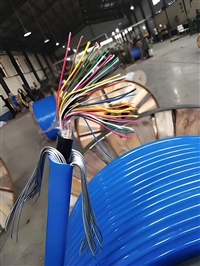 AWG14#*2双绞线.直埋生产厂家