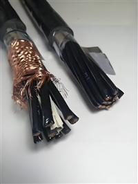 铠装屏蔽双绞线ZR-DJYP2VP2-22-2*2*1生产厂家