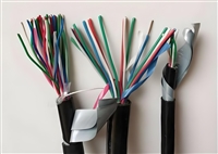 控制电缆WDZAN-KYJYP-23-4*2.5生产厂家