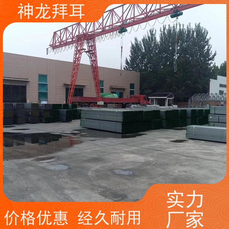 河北神龙拜耳 逆变器光伏支架 24小时客服 生产厂家