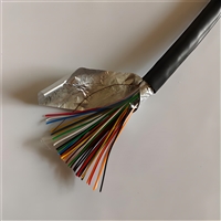 电线WDZB-RYJ-450/750V25方黑生产厂家