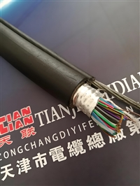 MODBUS通讯电缆2*27/0.37生产厂家