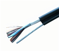 铜芯塑料线\WDZB-RYJ0.6/1kV1*1mm2生产厂家