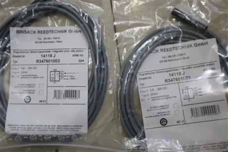 BINSACK REEDTECHNIK传感器14118J R347601003 14118JR347601003