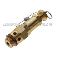 1504221003阿特拉斯空压机配件安全阀