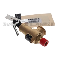 1613781000阿特拉斯空压机配件安全阀