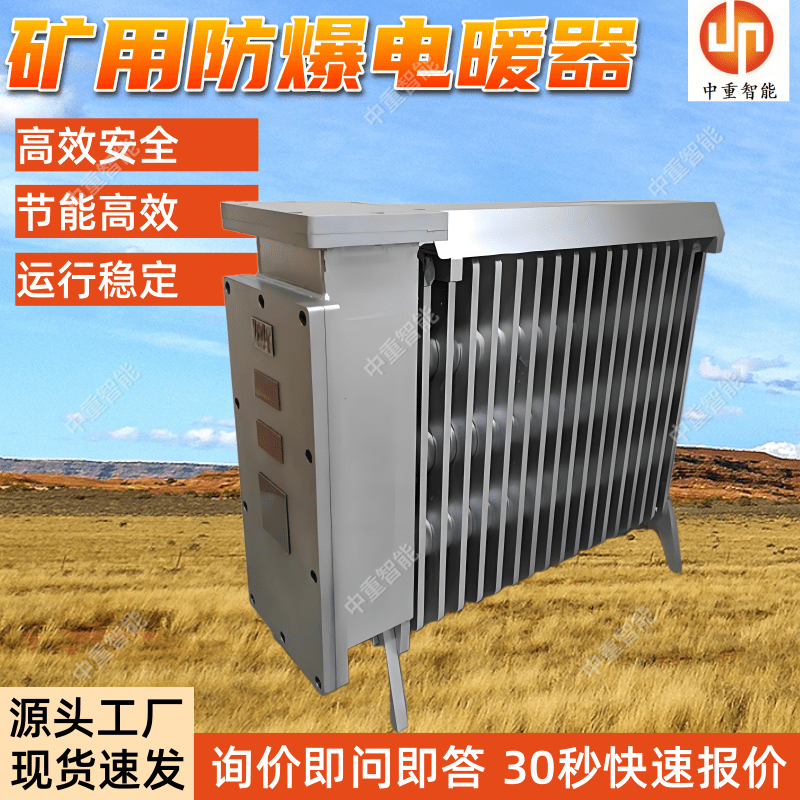 RB-2000/127A煤矿用防爆电暖器 电热油汀式取暖器 运行稳定