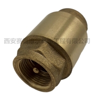 1619637101阿特拉斯空压机配件单向阀