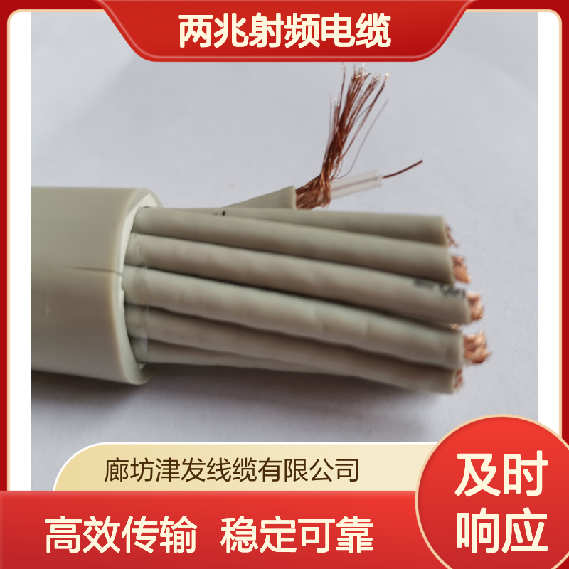 多芯同轴电缆75-2-2*16通信基站联移SYV两兆射频电缆
