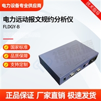 FLDGY-B电力远动报文规约分析仪