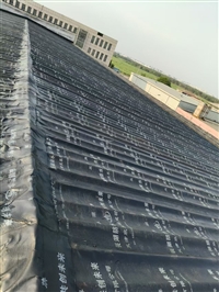 屋面防水 武清区防水堵漏 工程防水 铺油毡24小时在线