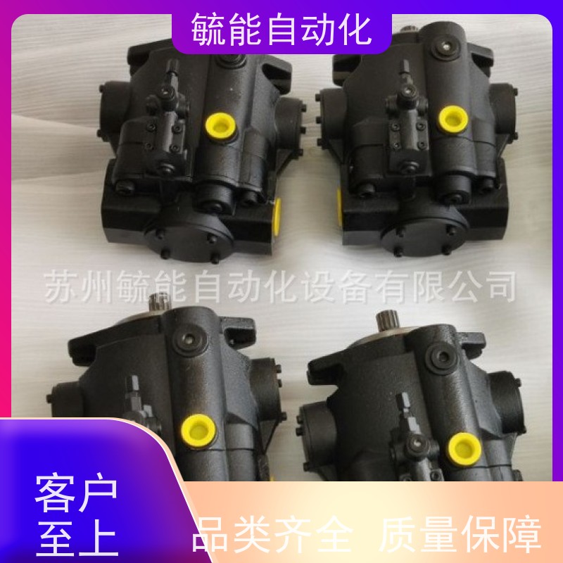 BST液压油泵SV21S-100-63-1R01-C100 SV11C-40-40-2R