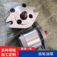 齿轮泵  1AG1P0SR   1AG1P0SL