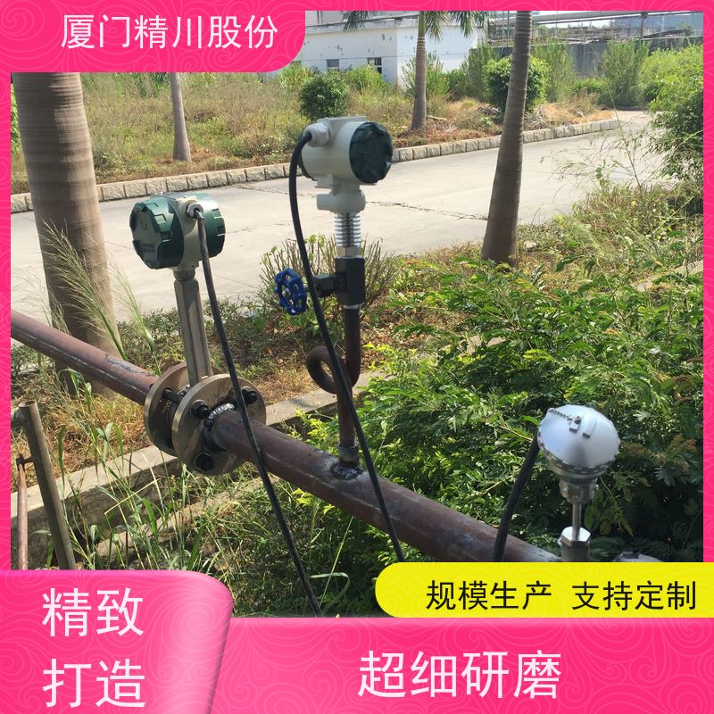 精川股份 纺织厂 蒸汽流量计 测量精度高 维护量少