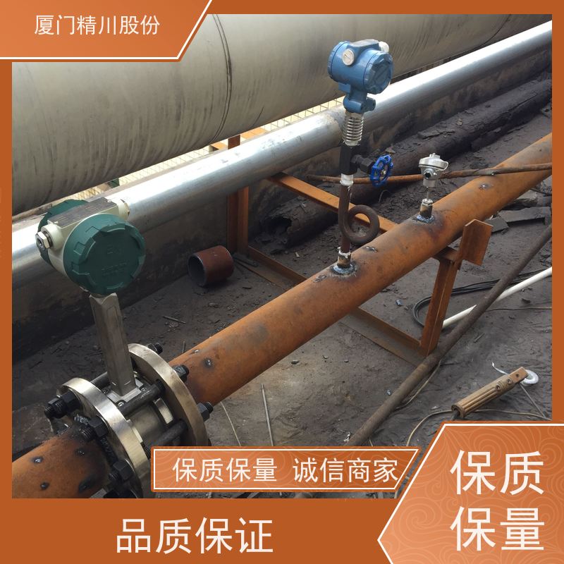 精川股份 合成革厂 压缩空气流量计 可耐温350度 支持免费选型