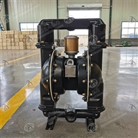 BQG320/0.3气动隔膜泵