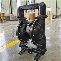 BQG250/0.3气动隔膜泵