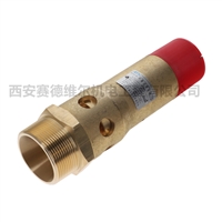 1624626491阿特拉斯空压机配件安全阀