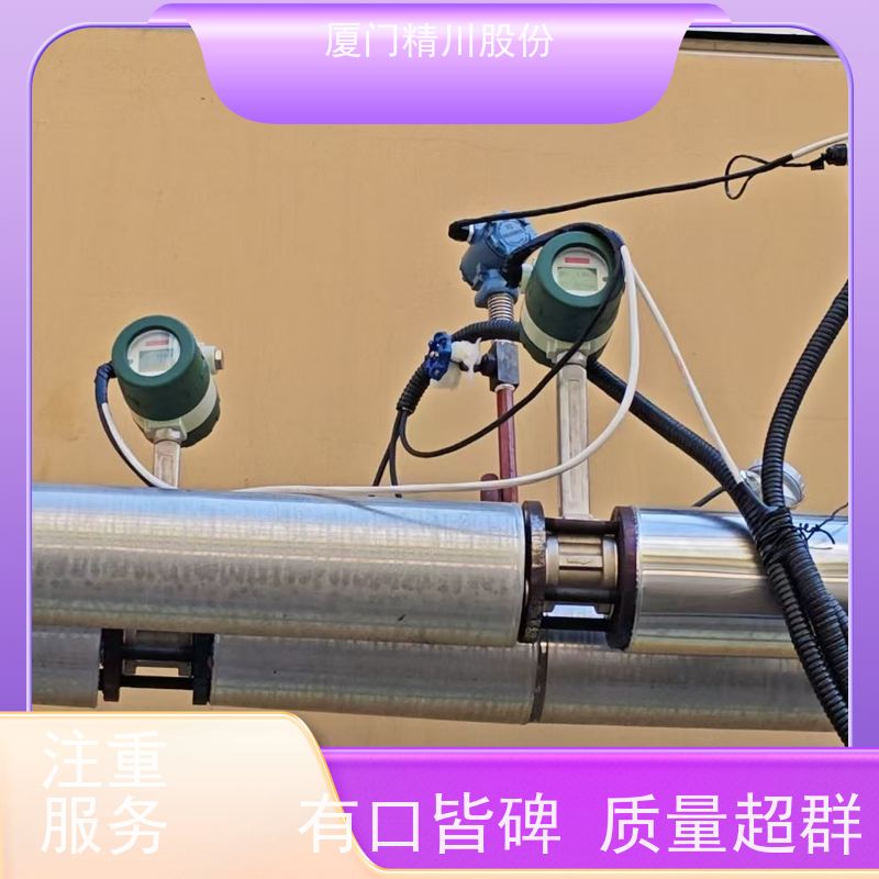 精川股份 合成革厂 锅炉蒸汽流量计 工作时间长 维护量少