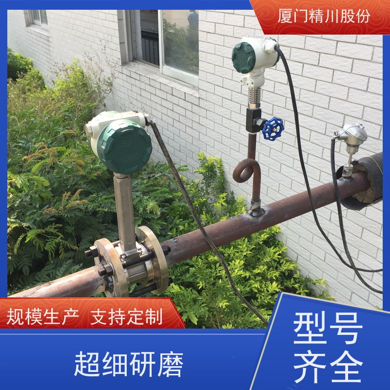 精川股份 合成革厂 锅炉蒸汽流量计 可耐温350度 应用广泛